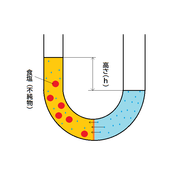 浸透圧の説明図2